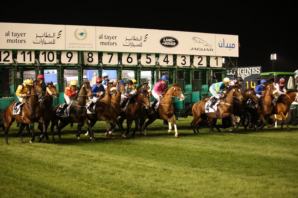 DUBAI WORLD CUP NIGHT 2026