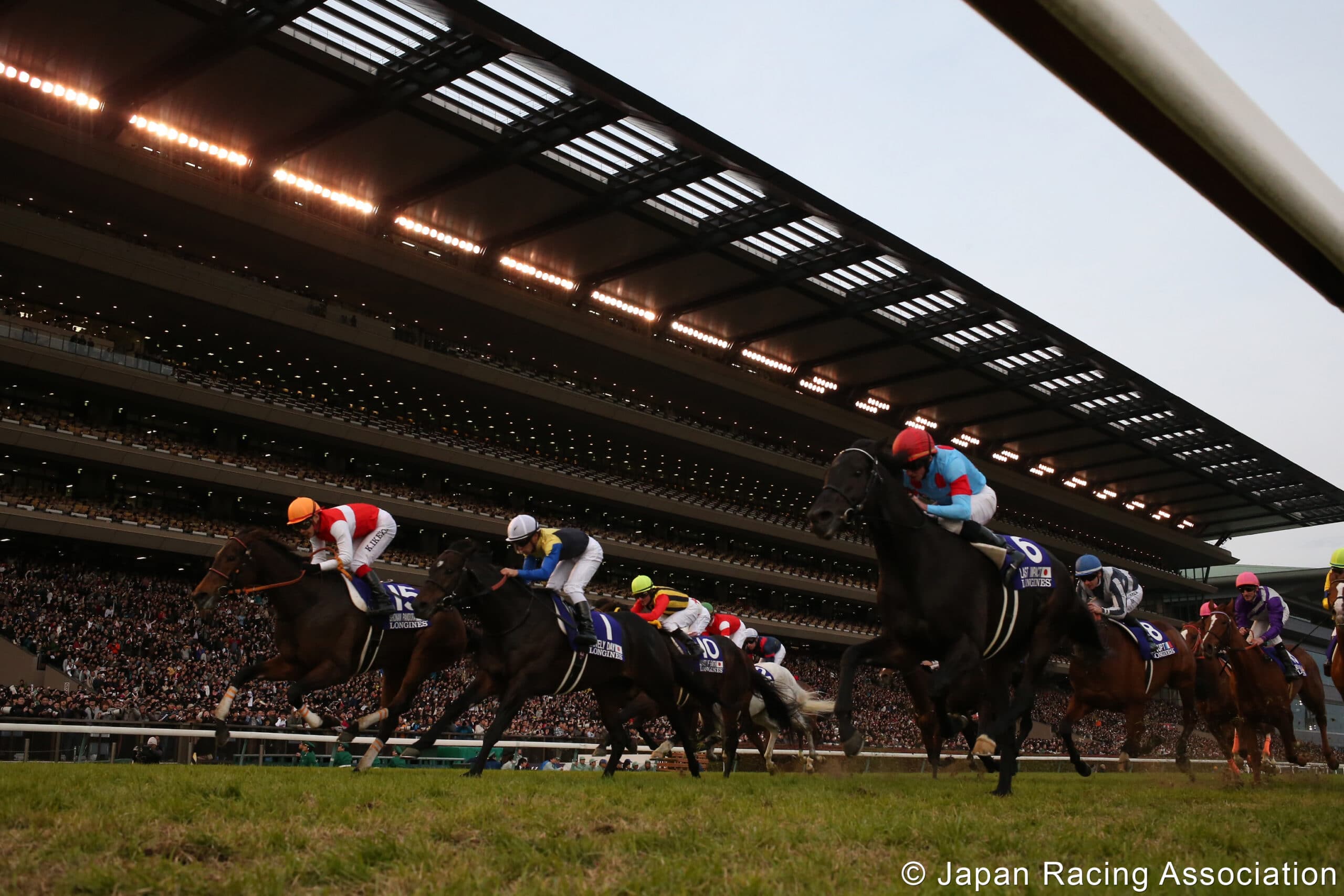 Japan Cup 2025 – International G1 Showdown